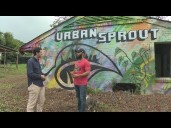 Urban Sprout Farms | Voice of the Voter