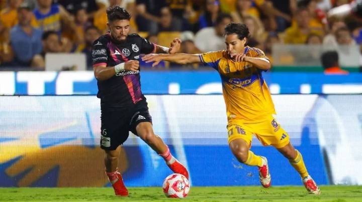 Puebla regresa a la realidad y es humillado por Tigres