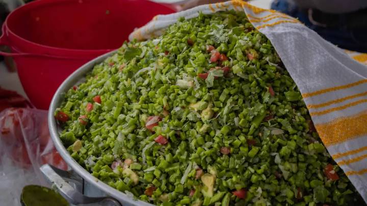 ¿Conoces las propiedades del nopal para la salud?