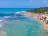 Acantilados, mar cálido, buena energía, tortugas y delfines: por qué a los argentinos les encantan las playas de Pipa