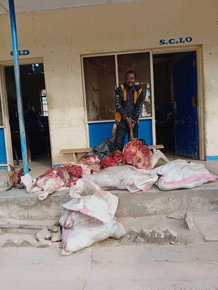 Police Nab Man Over 190kg Stolen Cattle Meat in Chikwawa