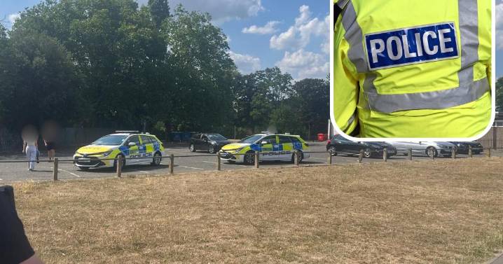 Met Police detective: Stop and search 'saves lives from knife crime'