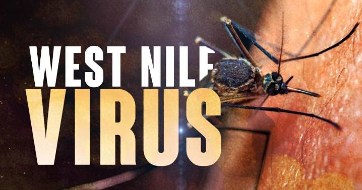 West Nile virus detected in Evansville mosquitoes