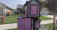 Little libraries bring big opportunities for young readers in Middleton