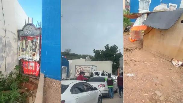 Aseguran indicios de rastro clandestino de perros en Nogales