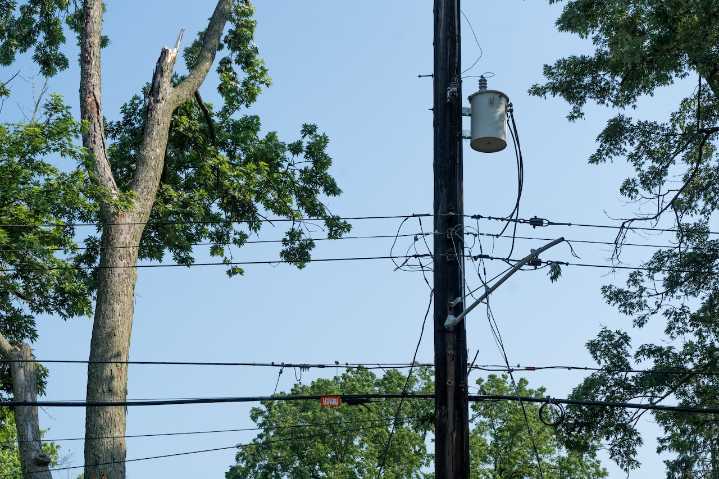 Landscaper electrocuted after making contact with live power line