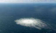 Ucranio detenido por sabotaje a gasoductos Nord Stream dirigió la operación