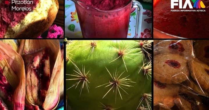 Nuestro México: Pitaya, la fruta que impulsa la economía de Pitzotlán y brilla en la feria 2025