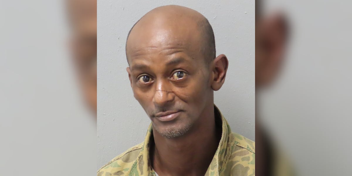 A St. Louis man is sentenced to 20 years in prison for Dutchtown gas station murder