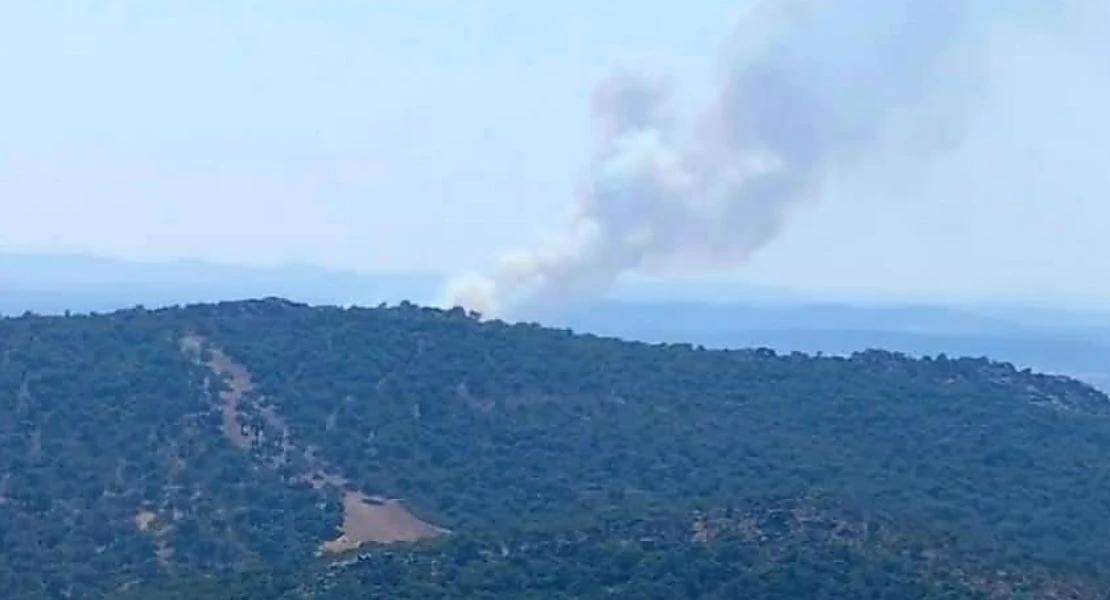 Los incendios no cesan: nuevo foco en la Sierra de San Pedro