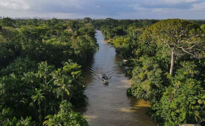El rastro del mercurio: cómo la nueva fiebre del oro en América Latina está envenenando la Amazonía