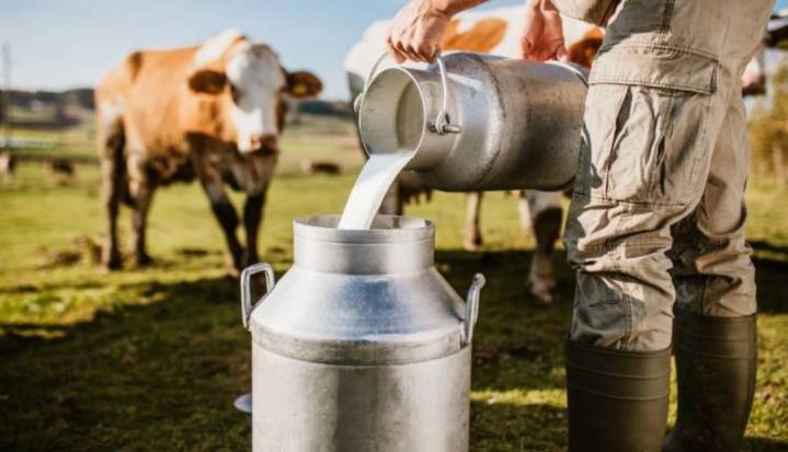 Demogan sigue en la lucha por acabar con la adulteración de la leche con lactosueros en Colombia