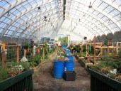 DEI gardening — the new Liberal priority for agriculture