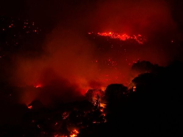 Aumentan detenciones por incendios forestales en el Maule