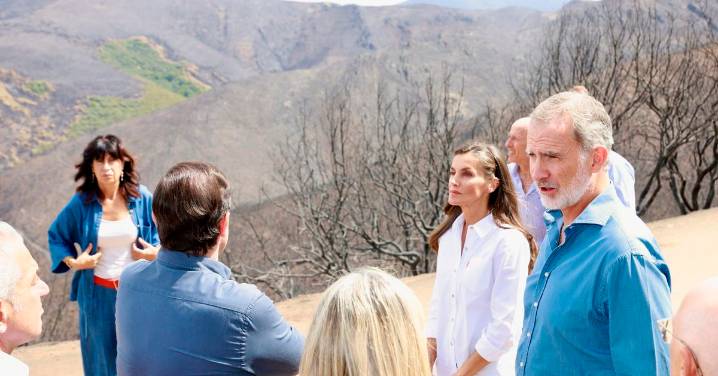 El Rey llama a la colaboración para superar la desolación por los incendios: "Hay mucho que hacer"