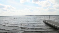 After a decade of treatment, Lake Melissa sees major drop in invasive species