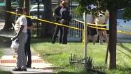 White Plains shooting: 3 shot after Ferris World basketball tournament at Gardella Park