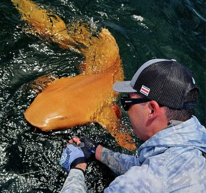 Bright orange shark spotted for the 'first time ever' after being reeled in by fisherman in catch of a lifetime