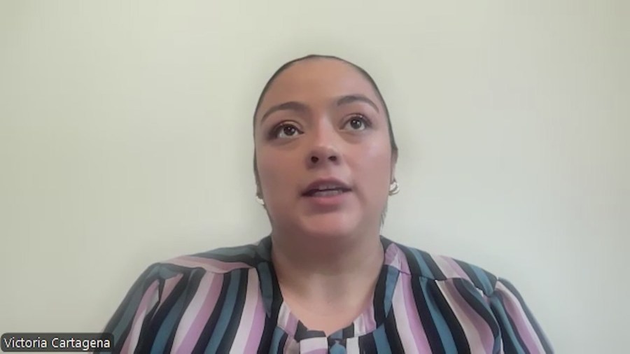 Critical shortage of licensed mental health psychiatrists for young people in Hampton Roads
