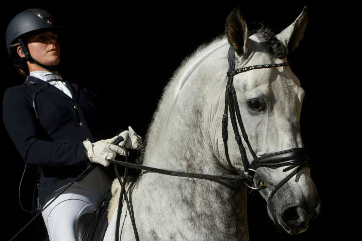 Una modificación genética fue clave para que los caballos fueran aptos para la monta