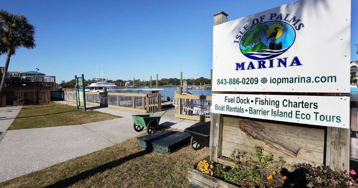 Driver rescued after plunging car into Isle of Palms creek