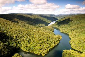 IFF et Reservas Votorantim signent un partenariat de bioprospection au Brésil