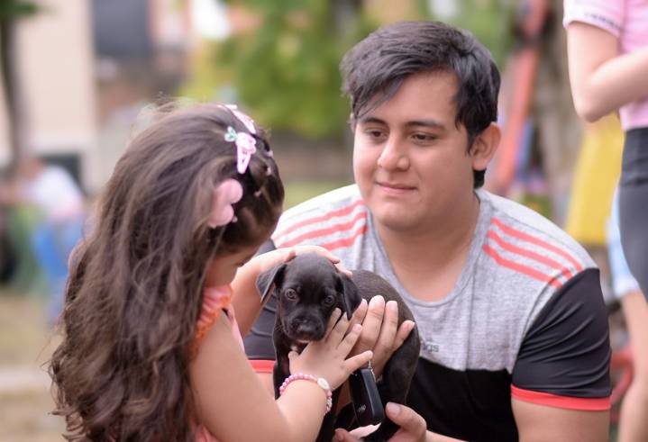 Alcaldía de ibague invita a la jornada de bienestar animal de este domingo en el C.C. La Estación