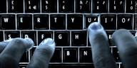 Cyber attack probe indicates personal data moved outside of Nevada’s network