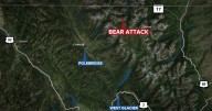Backcountry hiker hurt by bear at Glacier National Park