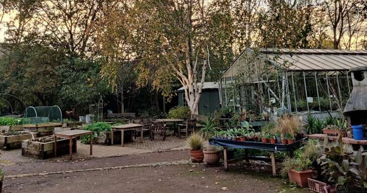'Secret garden' in East London comes back from dead as closed site reopens 2 days a week