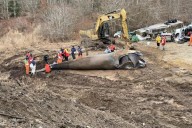 Letter: Without changes to lobstering, right whales face extinction