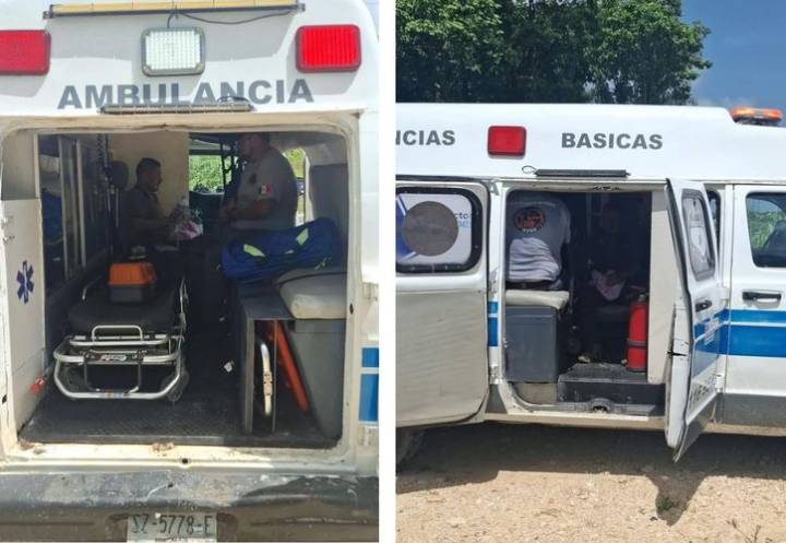 Hombre recibe picaduras de abejas africanizadas en comunidad de Huay