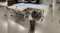 Massive drug bust uncovers more than 160 pounds of meth in Northern California