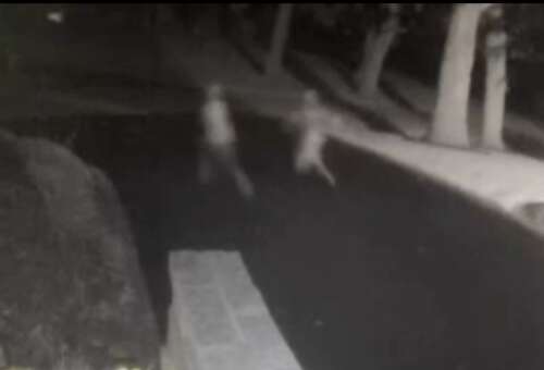 ‘Isn’t just a prank’: Destructive social media trend arrives at suburbs’ doorstep