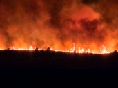 Colorado wildfire updates: 5 homes destroyed in Elk Fire, Lee Fire