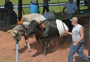 Middlefield Fair 2025: 170th event draws families with agriculture shows  (Photos)