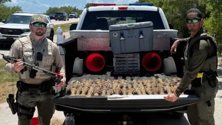 3 Florida men arrested, 53 spiny lobsters confiscated in illegal catch: FWC
