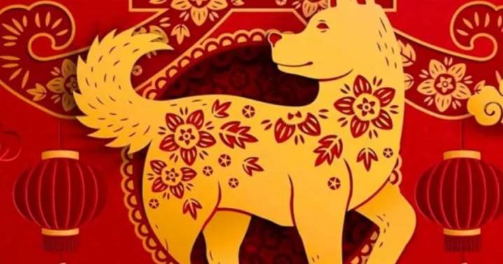 Horóscopo chino: por qué el Perro es considerado un animal “pesimista”