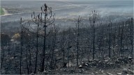 Desolación en León por la muerte de Abel y Jaime, voluntarios y primos