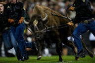 Iconic college football live mascot retires