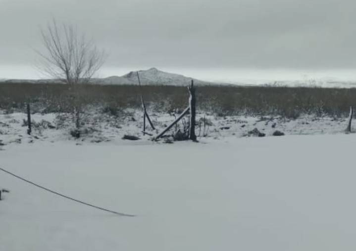 La Tormenta de Santa Rosa llegó con nieve al oeste pampeano
