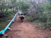 Mayor infraestructura hídrica para las familias de la Sierra y la Huasteca hidalguenses