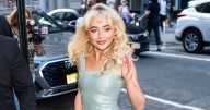 Sabrina Carpenter: The ‘Man’s Best Friend’ Art Is ‘Perfect’