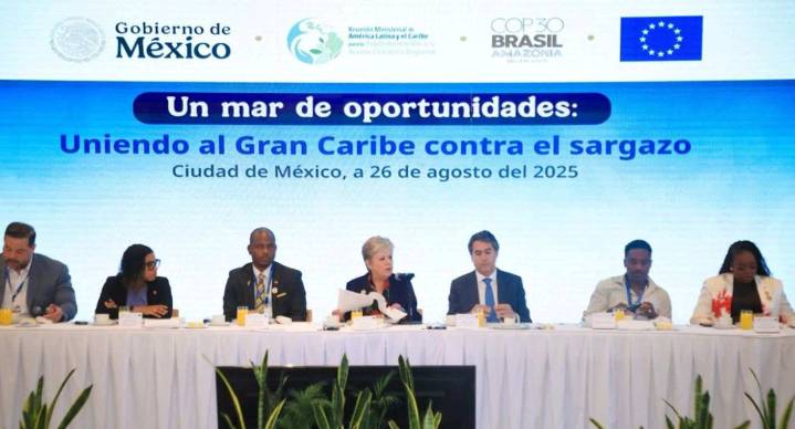 Pactan México, América Latina y Unión Europea para combatir el sargazo en el Caribe