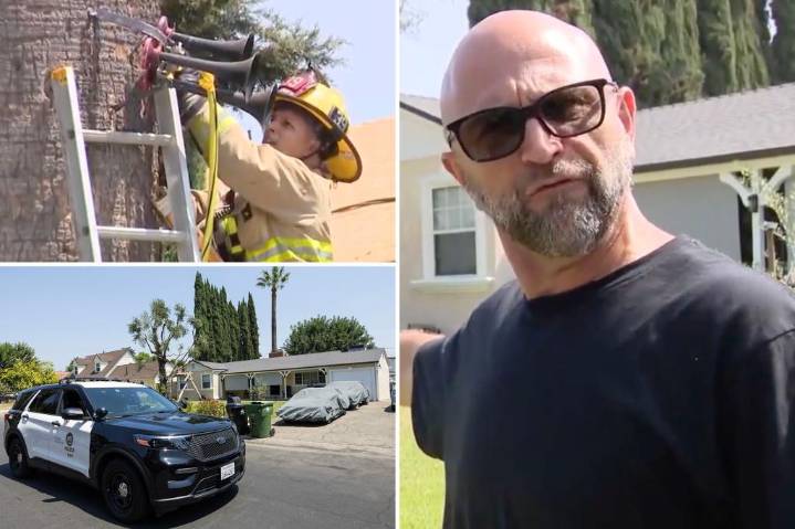 Crazy homeowner torturing neighbors with train horns heard for miles away
