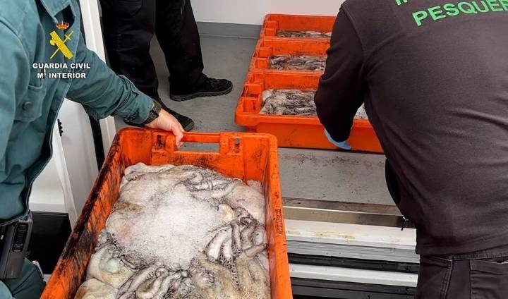 La Junta y el Seprona intervienen más de 500 kilos de pescado sin garantía alimentaria