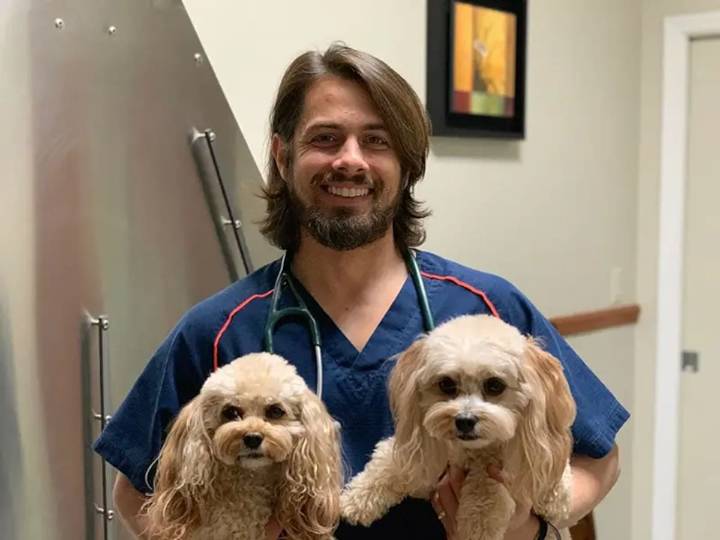 Señales clave. Dr. Abel Lera, veterinario de Florida: ¿cómo detectar si un perro tiene parásitos?