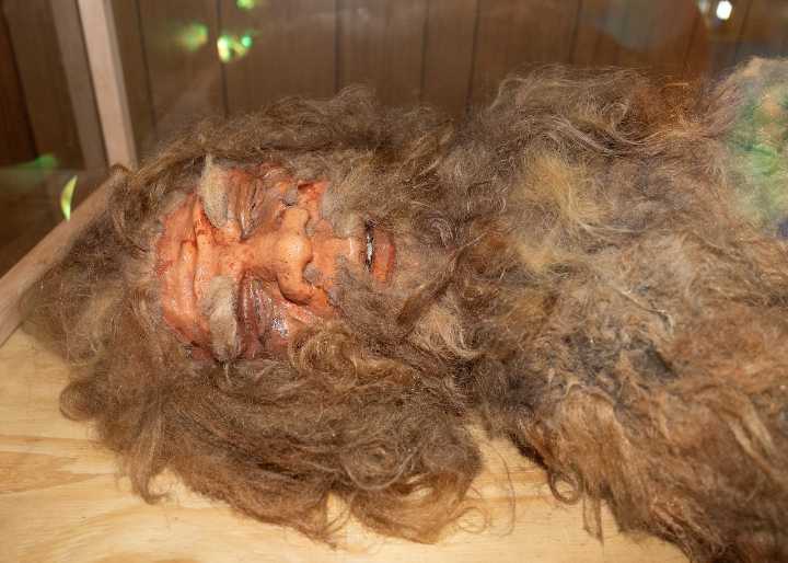 Searching for bigfoot at the 2025 NYS Fair