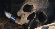 Macabre rise in sale of human remains in UK sparks fears of new era of grave