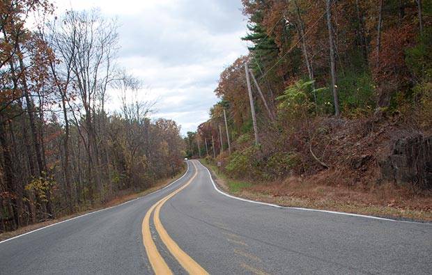 Woodstockers have dangerous habits, road safety group reports